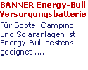 BANNER Energy - Bull